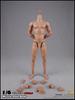 Toy Hobby Action Figure COOMODEL COO Male Body Action Body Muscular Body [TOYBARJAPAN] 1/6 BD001/02/03/04/07/08/09/10 (Tall BD004)