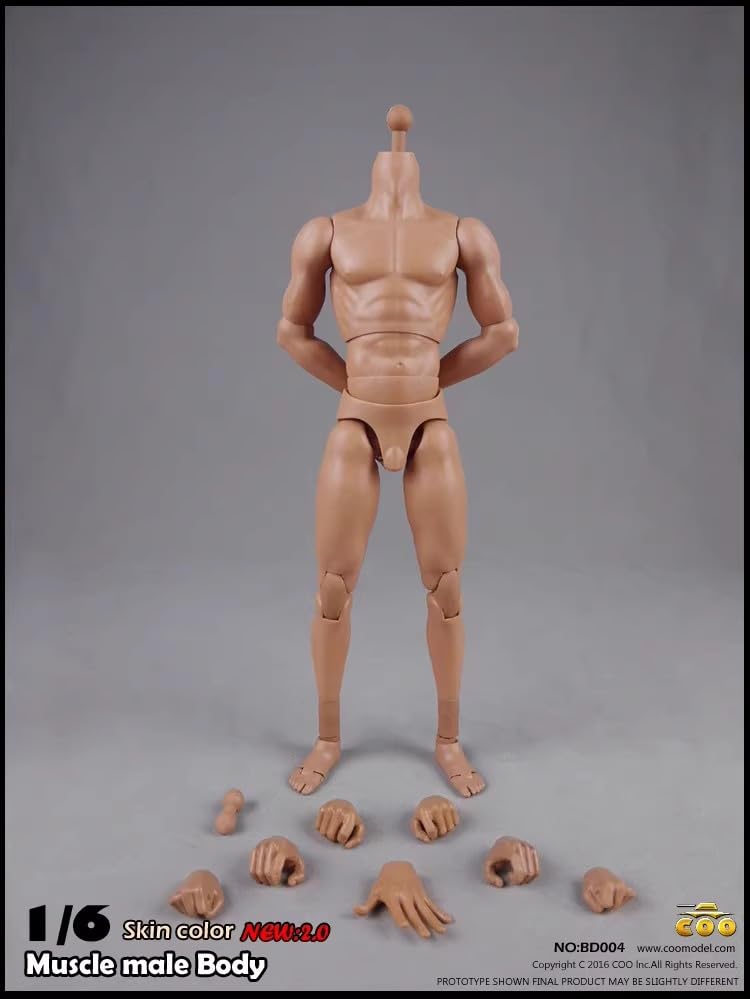 Toy Hobby Action Figure COOMODEL COO Male Body Action Body Muscular Body [TOYBARJAPAN] 1/6 BD001/02/03/04/07/08/09/10 (Tall BD004)