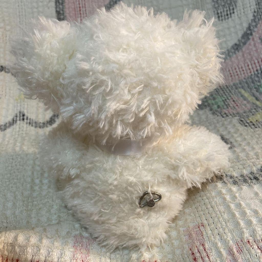 [USED] Used Canal 4℃ Teddy Bear Plush Toy with Music Box