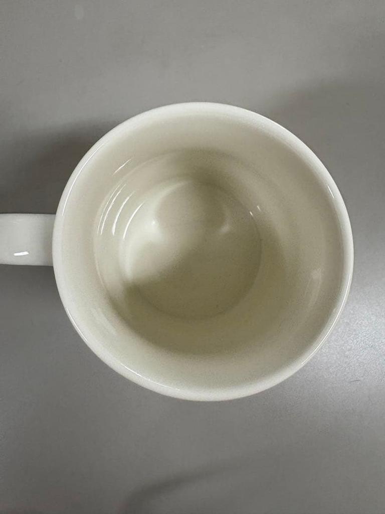 [USED] Purchase Bonus: Non-Sale Pokémon ZA Character Mug