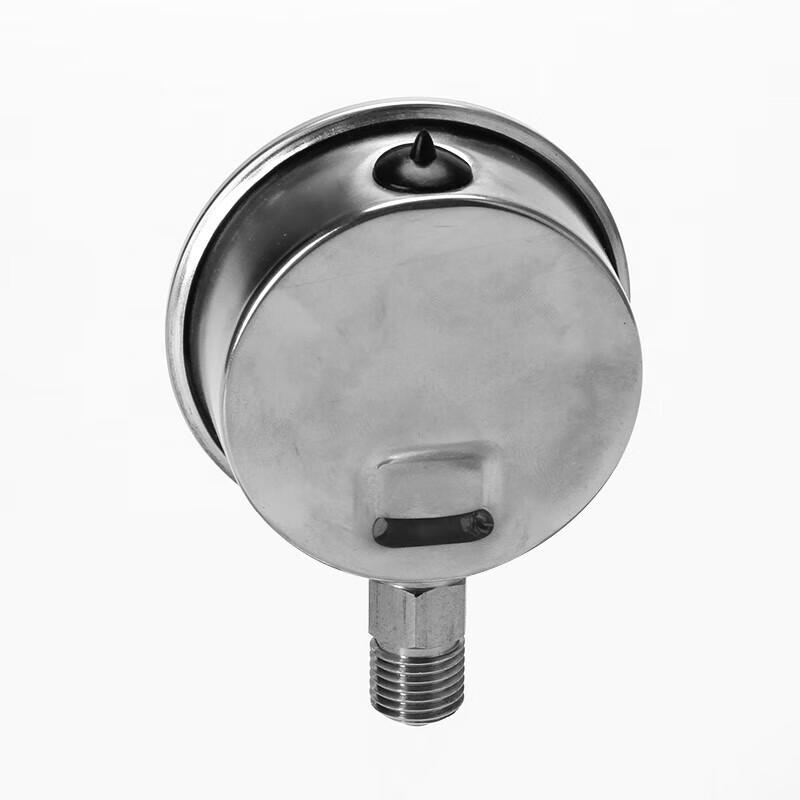 LANL YN60BF Stainless Steel Oil-Filled Pressure Gauge (CN Version)