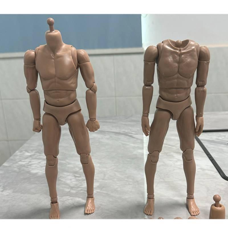 16 Scale Male Nude Body Muscular Mans Action Figure For Tc Dragon Soldier Toy