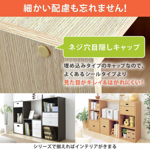 Iris Ohyama CX-2 Color Box, Bookshelf, TV Stand, 2-Tier Storage Box, Stylish Rack for Cosmetics, Perfect for Single Living, 41.5cm Wide x 29cm Deep x