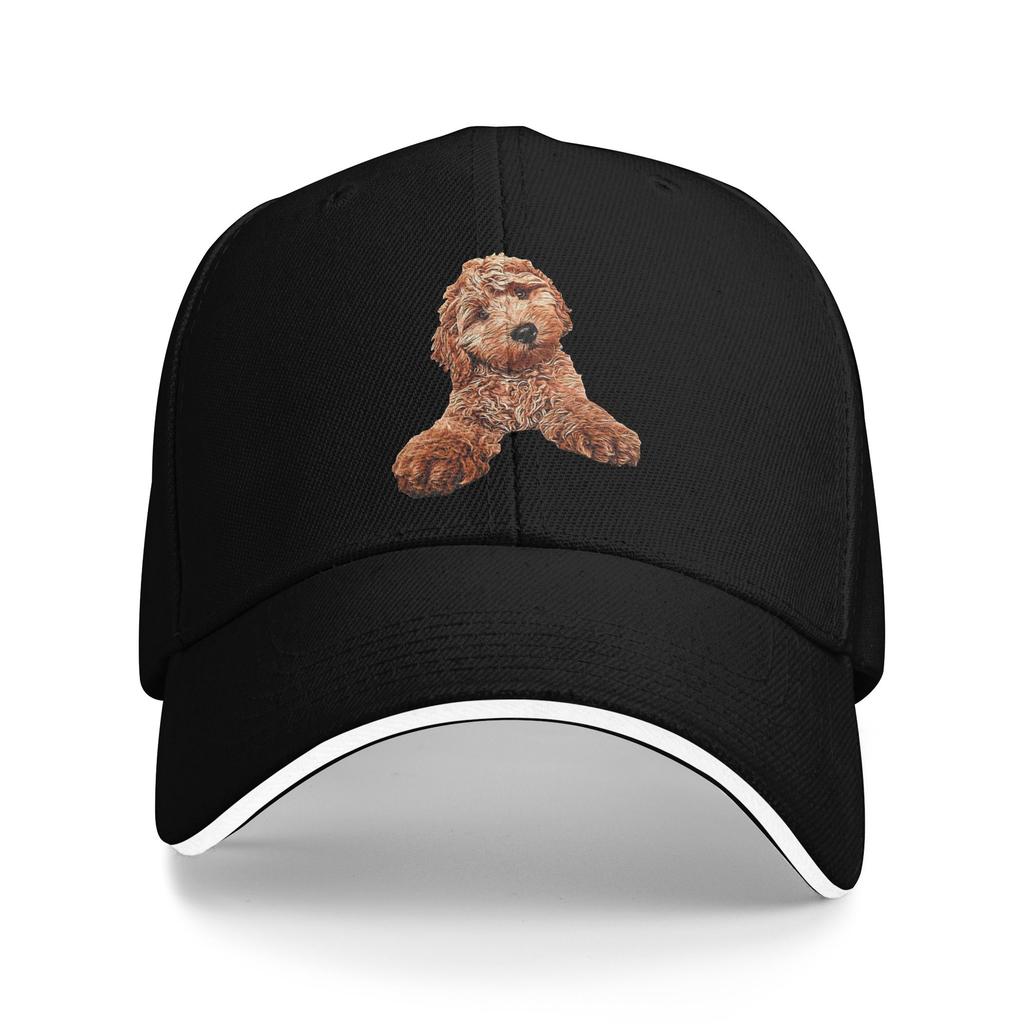 Cavapoo Labradoodle Goldendoodle Pudel Mischling Lässige Baseballkappe Laufen Hippie Hip Hop Hüte Frühling Sonnenschutz Baseballkappen