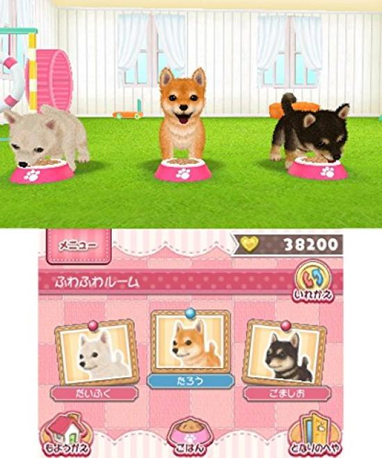 Live with Cute Cats Mini Animals 3DS Pets! Dogs, & -