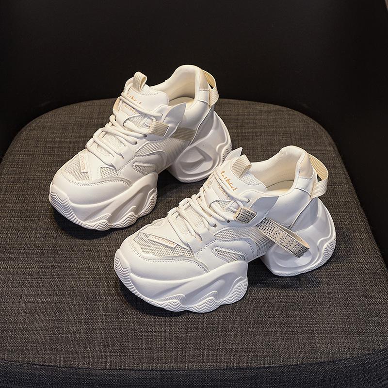 Thick-soled transparent mesh and double-layer mesh heightening dad shoes 2025 new casual versatile fashion style small women's shoes