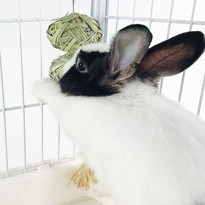 Natural Aquatic Grass Ball Small Animal Chew Toy for Rabbits Hamsters Chinchillas Corn Ear Molar Chew Toy for Pet Teeth Grinding