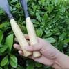 Sturdy Iron Iron Hoe Digging Garlic Garden Shovel New Weeding Tool  Agricultural Use