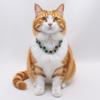 Adjustable Pet Necklace Stainless Steel Diamond Collar Luxury Cat Collar  Wedding Photography