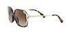 Sunglasses 0HC8280U 512013 DARK GRADIENT LENS Japan 57 [Coach] TORTOISE/BROWN (FREE size)