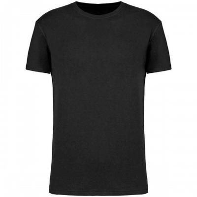 Mens BIO150IC Crew Neck T-Shirt