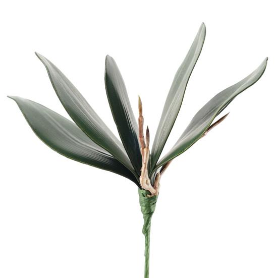 Imitation Leaves Fresh-keeping Decorative Non-Wilting Attractive Fake Phalaenopsis Artificial Plant Desktop Decor