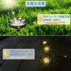 Dog and Cat Paw Solar Recessed Outdoor Garden Automatic IP44 Warm White Pet Paw Perfect for Parking and Cute Paw Print Outdoor Energy No Wiring