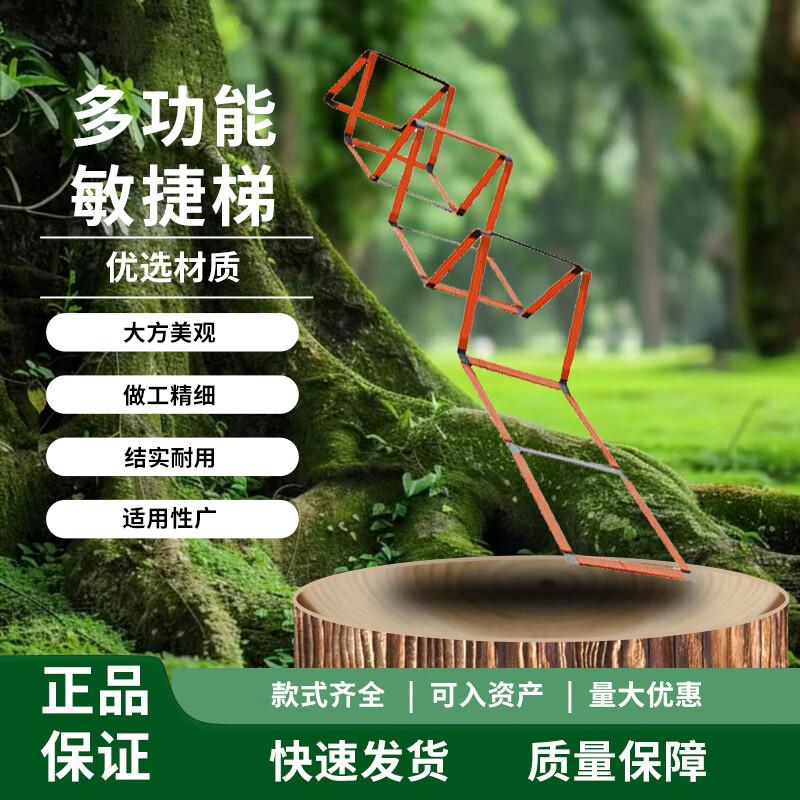 Multi-functional Agility Ladder