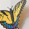 3Pcs Butterfly Magnets for Refrigerators Realistic Double-Sided Wings Flexible Butterfly Home Decor Magnets