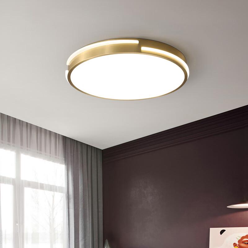 OEING Modern Gold LED Ceiling Light