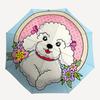 1pc Poodle Floral Automatic Folding Umbrella - 8-Rib Durable Iron Frame, Compact Portable for Daily Travel Yy251205042