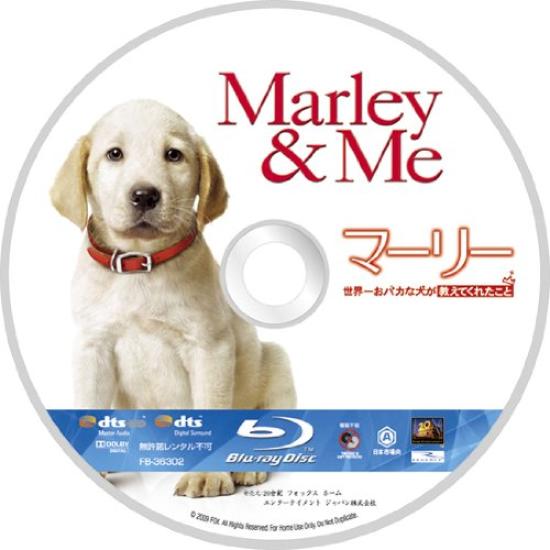 Trial Pack and the Press Limited Blu-ray "Marley Dog" (First Edition) [Blu-ray]