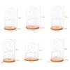 LED Light Dome Cloche Glass Display Dome with Wooden Base Fairy LED Lights for Cool Room Decoration Vase Container