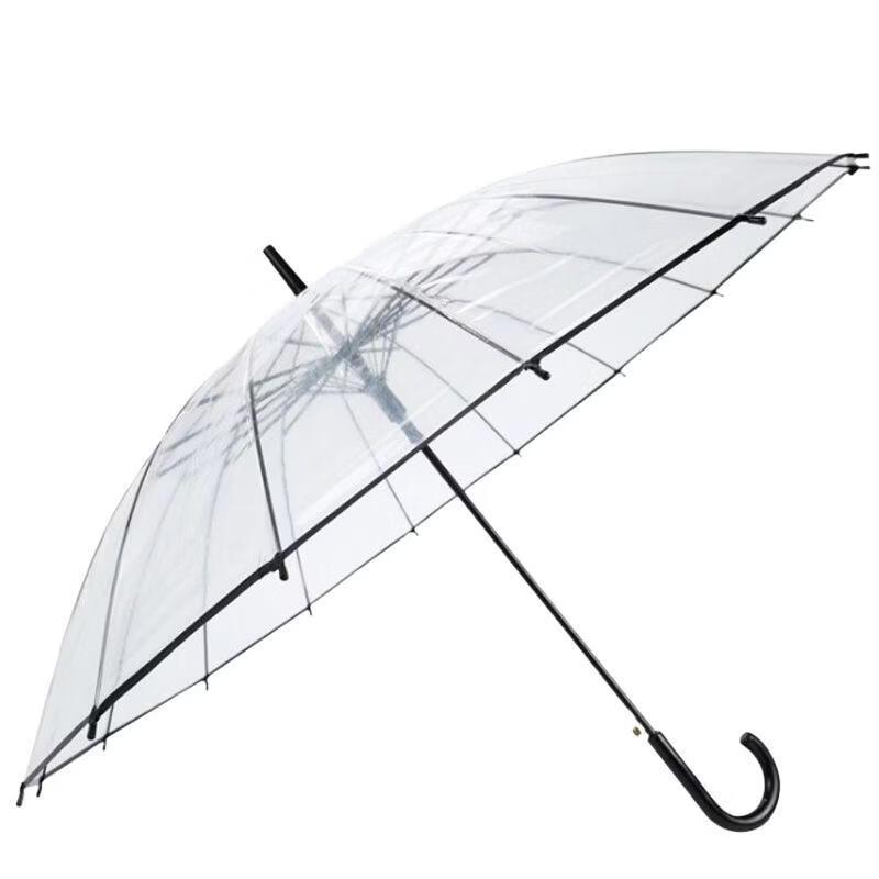 Hanyou Large Transparent Long-Handle Umbrella for Two