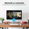 Mini Vintage Bluetooth Speaker, Retro Bluetooth Speaker Rechargeable, Loud Volume, Bluetooth 5.0 Wireless TWS Connection, Support TF Card,