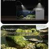 Turtle & Fish Breeding Tank Set with Basking Platform, Dry-Wet Separation, and Side Filter Eco Glass Tank
