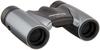 Olympus 10x21 RCII Roof Prism Dark Compact and Lightweight Binoculars, Silver,