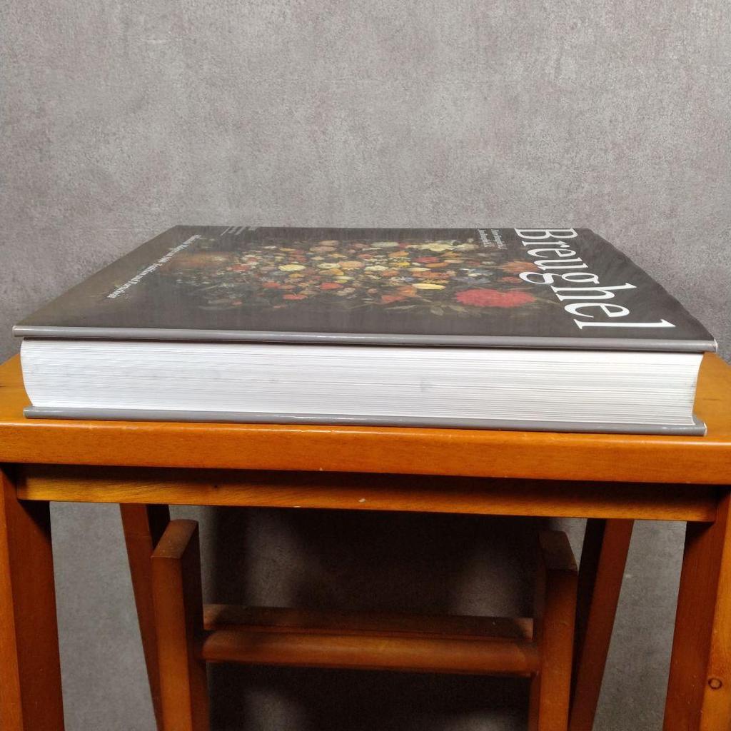 [USED] Pieter Breughel Books German Edition Art Arts