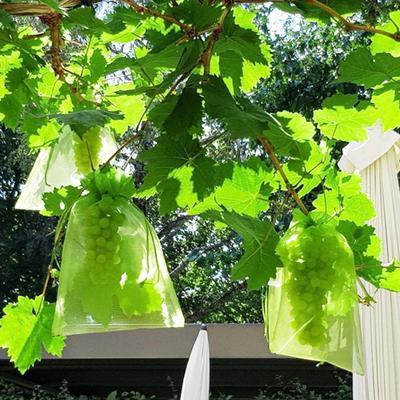 100Pcs Fruit Protection Mesh Bags Drawstring Netting Cover Mesh Fruit Protectors Bird-proof Fruit Bags Strawberry Blueberry Protection Bags