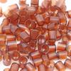 1000PCS/Bag Beekeeping Plastic Brown Rearing Queen Bee Tools King Tools Cell Brown Cup Rear Breeding Supplies Random Style