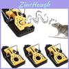Classic Mouse Trap Set For Home Use With Nontoxic Solid Bait In Multiple Sizes
