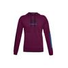 Sweatshirts Men's Purple Hooded Moderate Regular Unisex 1357100-194