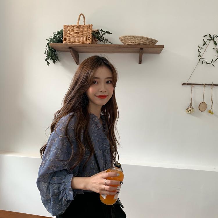 Korean Floral Chiffon Women's Loose Long Sleeve Sun Protection Shirt