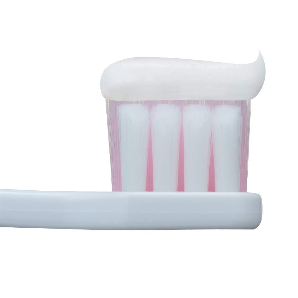 To Prevent Periodontitis, Dent Health Medicated Toothpaste Non-Abrasive Gel 85g (quasi-drug)