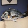 Perch Cartoon Fish Plush Toy Stuffed Fish Anime Pillow Dolls Simulation Fish Plush Pillow  Bedroom