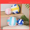 Weiches und knautschiges Volleyball-Stofftier für Kinder Realistischer Druck PP-Baumwollfüllung Kristall-Superweiches Fell Blau/Rosa Für Jungen und Mädchen Tolles Geschenk