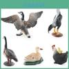 Realistic Pvc Farm Animal Model Set Featuring Mother Duck Hen With Chicks And Canada Goose