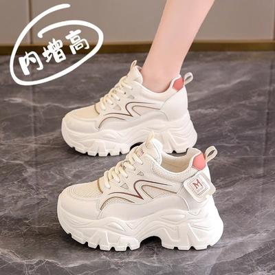 Women's New Spring and Summer Breathable Mesh Sneakers Low Heel Small Light Campus Platform Dad Shoes