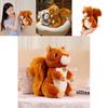 Cute And Soft Squirrel Raccoon Plush Toy For Kids Wholesale Animal Park Souvenir