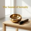 Soft Cushion Nepalese Singing Bowl Stress Relief Sound Bowl Bowl Ornaments  Mindfulness Practice