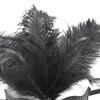Feathered Masquerade Mask for Women Men Halloween Masquerade Cosplay Mask Half Face Mask Halloween Mask