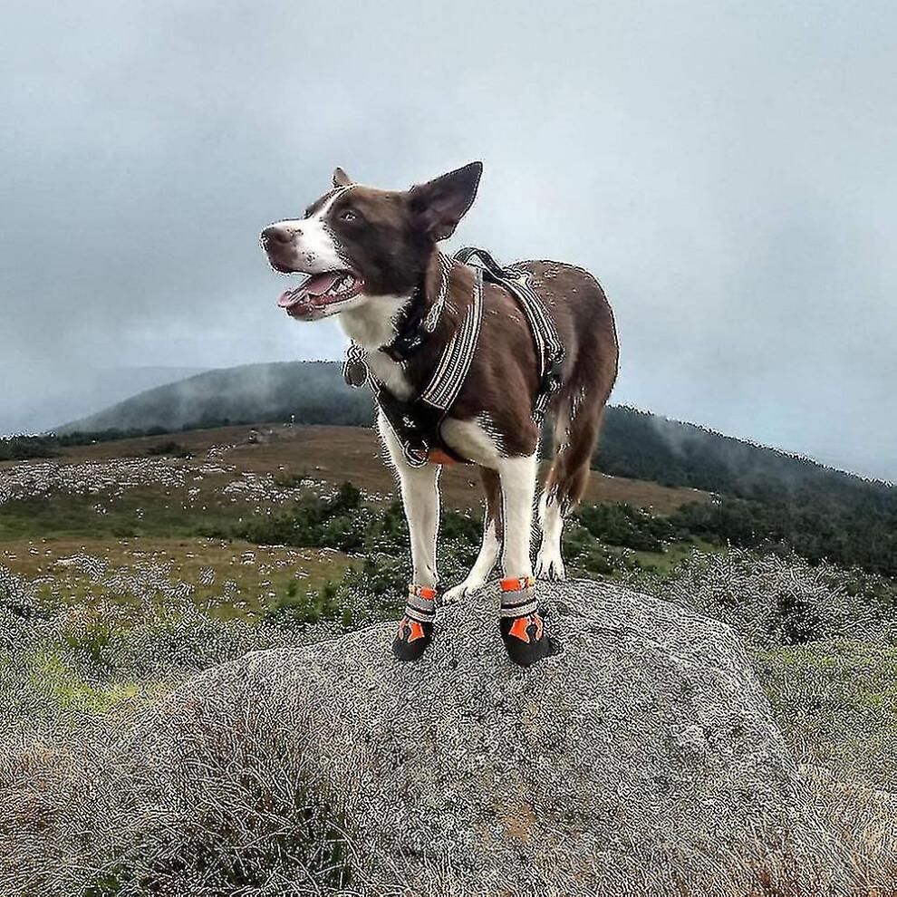 Dog Boots for Dogs Non-slip, Waterproof Dog Booties for Outdoor, Dog Shoes for Medium To Large Dogs with Rugged Sole
