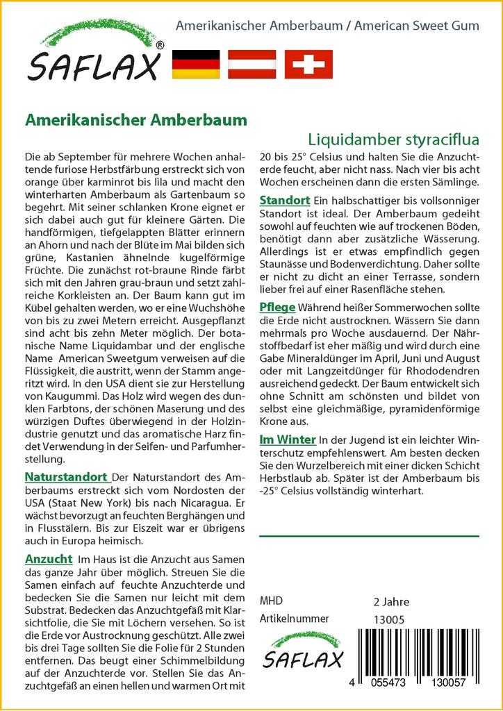 SAFLAX American Sweet Gum - 100 Seeds - Liquidamber Styraciflua