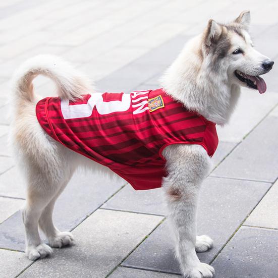 Gilet estivo in rete per animali domestici Stampa a lettere Cuciture in tessuto Maglia Coppa del Mondo Abbigliamento per cani