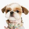 PET AROUND Floral T-Shirt Gray