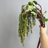 Floral Display Artificial Hanging Plant Soft Rubber Fake String Greenery Plant  Home Decor