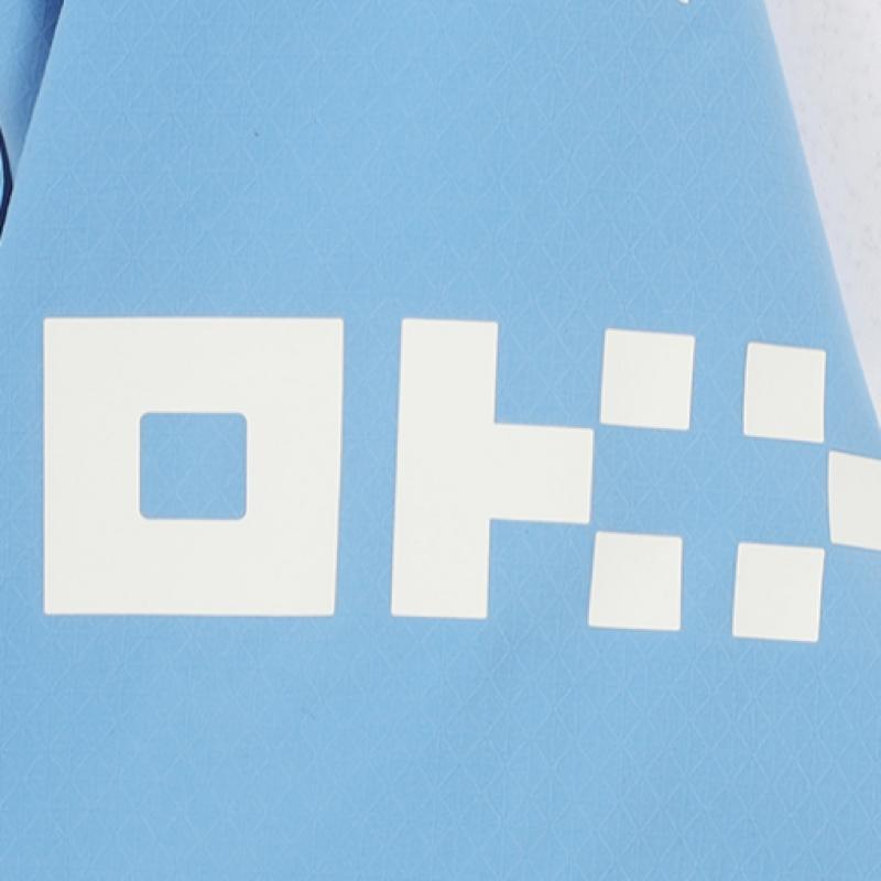 Puma Maillot Authentique Domicile Manchester City 2024 25 Maillot Man City
