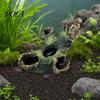 Non-toxic Fish Tank Ornament Decaying Trunk Aquarium Hide, Decorative Betta Hideout, with Multiple Holes Hide And Caves, Resin Log Hideout Cave