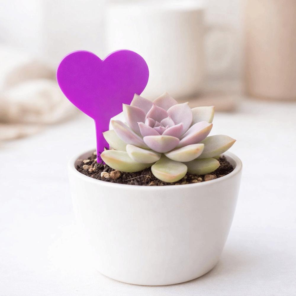 100PCS Reusable Plant Growth Label Waterproof Nursery Markers  DIY Garden Decoration