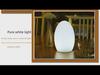 Rechargeable Remote-Control LED Table Lamp - Egg-Shaped, Colorful Night Light for Restaurant and Bedroom Decor